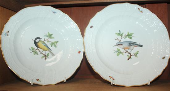 A set of twelve Meissen ornithological dinner plates, 19th century, 24cm